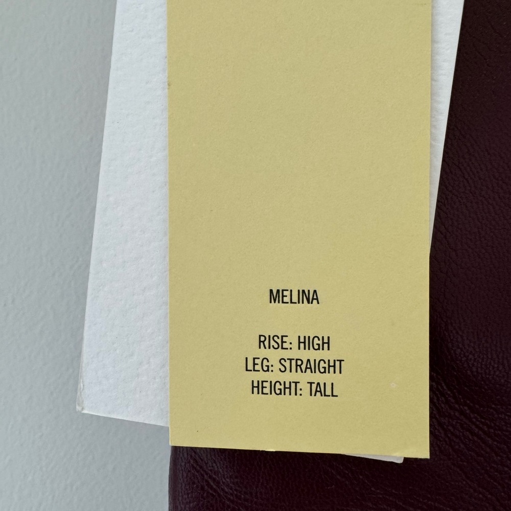 Aritzia Melina Pants - size 8 tall - Picture 3 of 3
